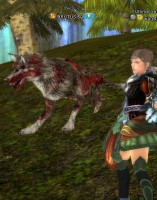 /album/galerie-photos/shaiya0070-jpg/