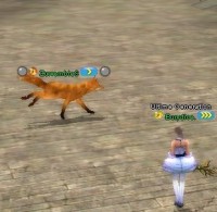 /album/galerie-photos/shaiya0084-jpg/